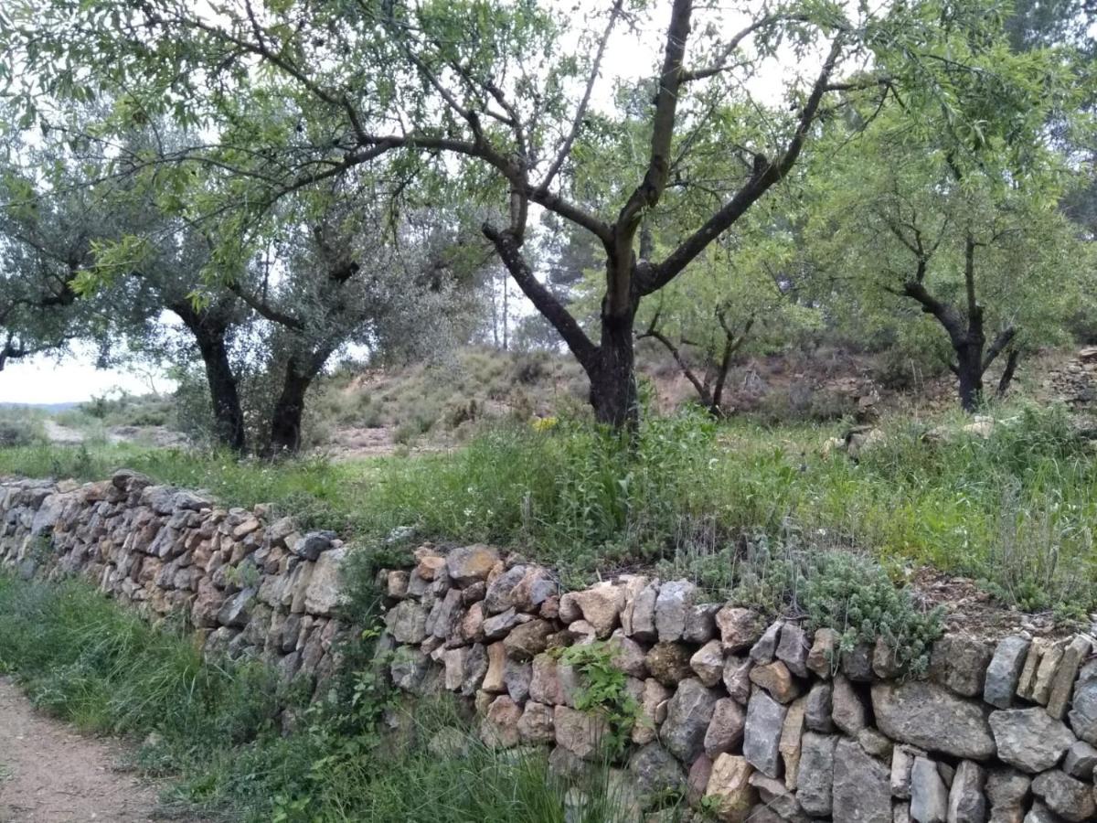 Casa De Amparo Y Jose Manuel Vendégház Pavies Kültér fotó